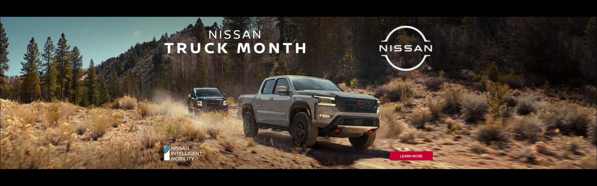 Car Dealership Nissan Dealer Mankato, MN Mankato Nissan