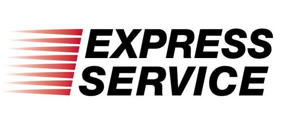 Nissan Express Service in Mankato